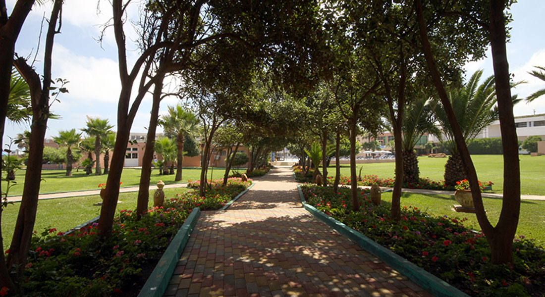 Officine Plus 2025 - Plein Ciel Paradise